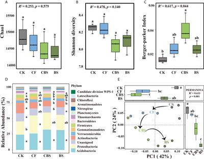 Changes in soil bacterial community and functions by substituting chemical fertilizer with biogas slurry in an apple orchard